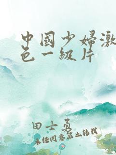 中国少妇激情黄色一级片