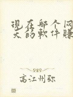 现在哪个网上聊天的软件赚钱