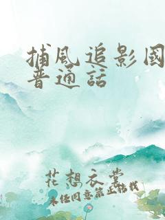 捕风追影国语版普通话