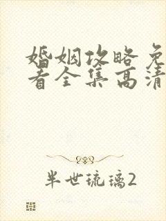 婚姻攻略免费观看全集高清完整版