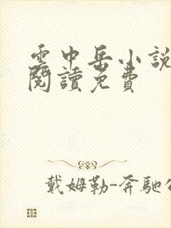 云中岳小说在线阅读免费