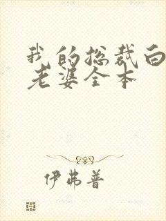 我的总裁白富美老婆全本