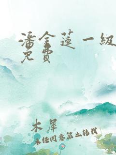 潘金莲一级淫片免费