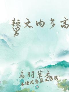 辣文肉多高h男男