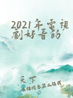 2021年电视剧好看的