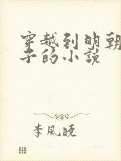 穿越到明朝当皇子的小说