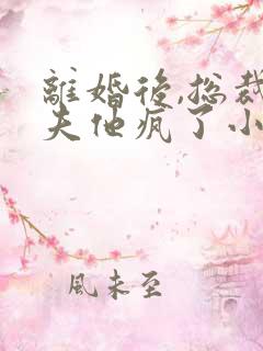 离婚后,总裁前夫他疯了小说排行榜