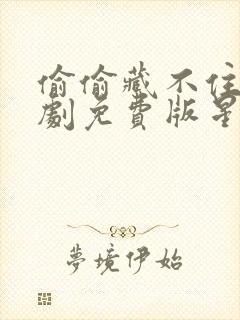 偷偷藏不住电视剧免费版星辰影视