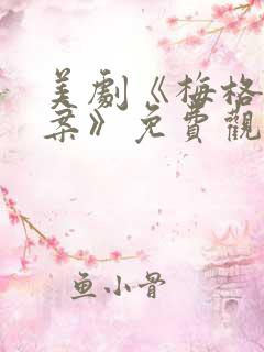 美剧《梅格雷探案》免费观看全集