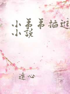 小弟弟插进穴里小说