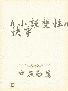 h小说双性np快穿