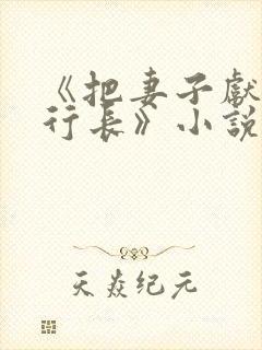 《把妻子献给张行长》小说