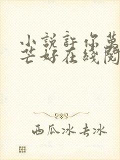 小说许你万丈光芒好在线阅读