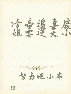 冷帝追妻废材小姐要逆天小说完整