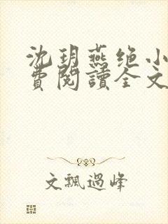 沈玥燕绝小说免费阅读全文最新章节