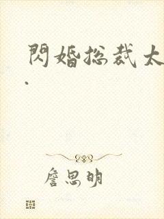 闪婚总裁太霸道.