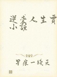 逆袭人生贾二虎小说