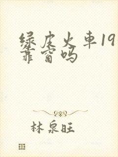 绿皮火车19号靠窗吗