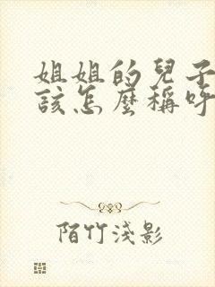 姐姐的儿子我应该怎么称呼