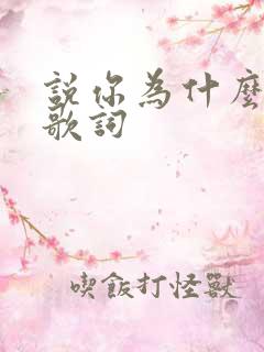 说你为什么爱我歌词