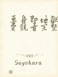 单身即地狱3免费观看完整版高清