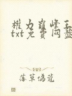 权力巅峰王洪涛txt免费网盘