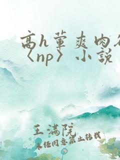 高h荤爽肉欲文〈np〉小说