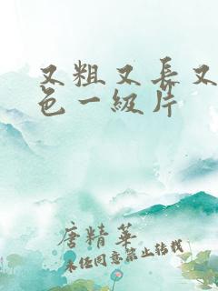 又粗又长又大黄色一级片