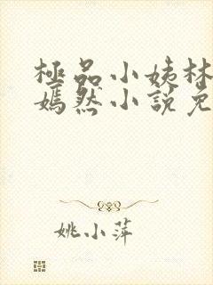 极品小姨林凡李嫣然小说免费阅读全文