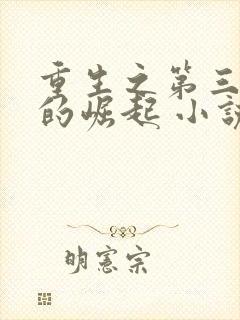 重生之第三帝国的崛起 小说