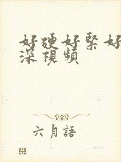 好硬好紧好爽好深视频