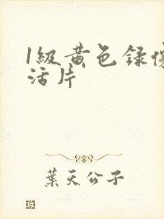 1级黄色录像生活片