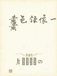 黄色录像一级片黄