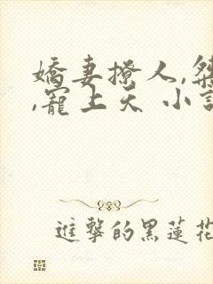 娇妻撩人,桀爷,宠上天 小说