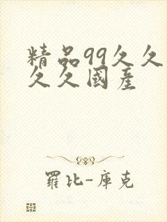 精品99久久久久久国产