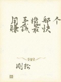 用手机哪个软件赚钱最快