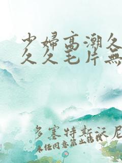 少妇高潮久久久久久毛片无广告