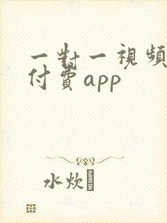一对一视频聊天付费app