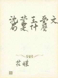 沈莹王受文大结局是什么