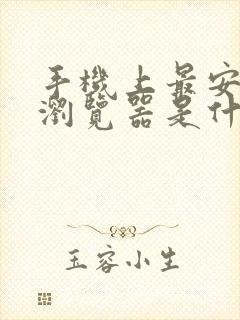 手机上最安全的浏览器是什么