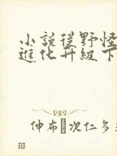 小说从野怪开始进化升级下载