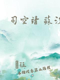 司空靖 苏汐月