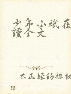少年小斌在线阅读全文