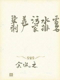 巩义污水处理药剂厂家排名