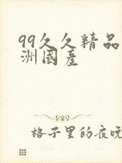 99久久精品亚洲国产