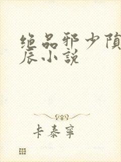 绝品邪少陨落星辰小说