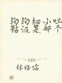 狗狗细小吐白色粘液是哪个阶段