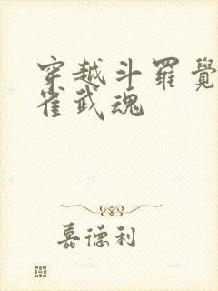 穿越斗罗觉醒朱雀武魂