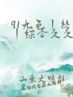 91九色丨丝袜丨综合久久