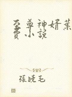 至尊神婿叶昊免费小说